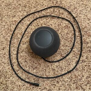 Apple Black HomePod Mini